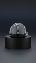 Precision Pro Gaming Mouse With Adjustable Weight